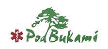 Szpital Pod Bukami wspiera DAAS Basket Hills Bielsko-Biała.